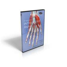 Interactive Hand Therapy